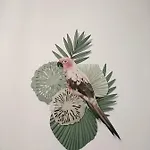 Lpa *